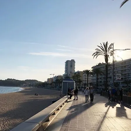 Apartamento With Terrace